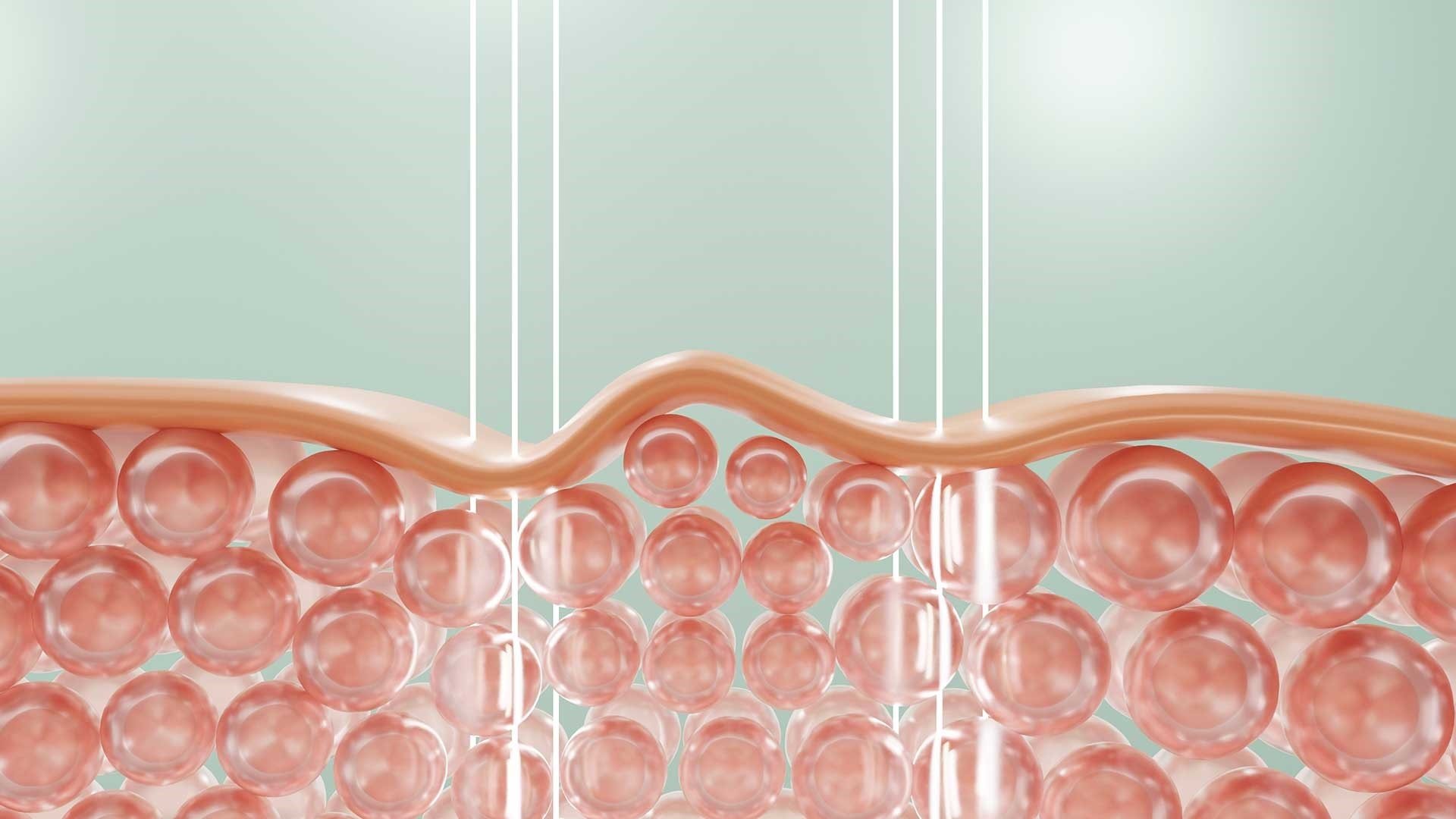 anti-aging-skincare-what-is-the-difference-between-a-cream-and-a-serum