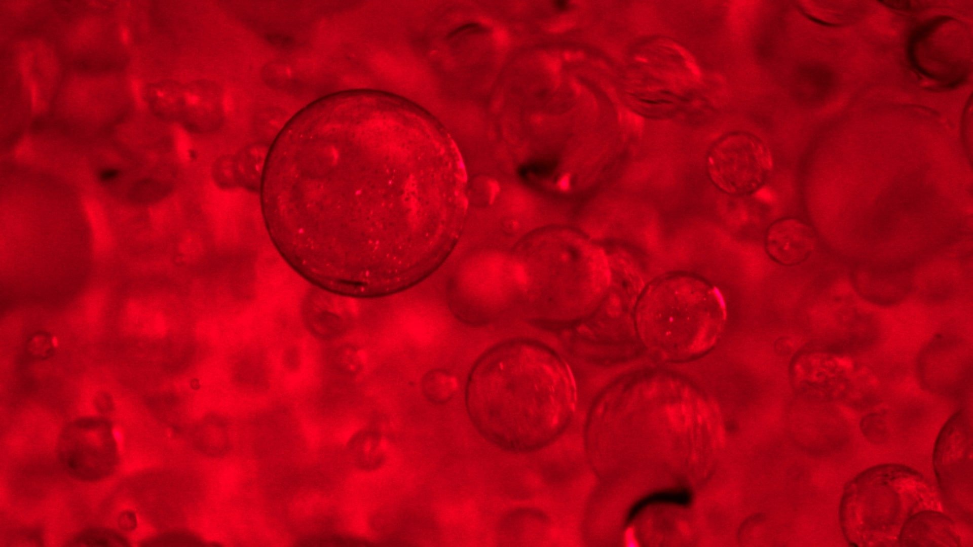 PRO-COLLAGEENCOMPLEX